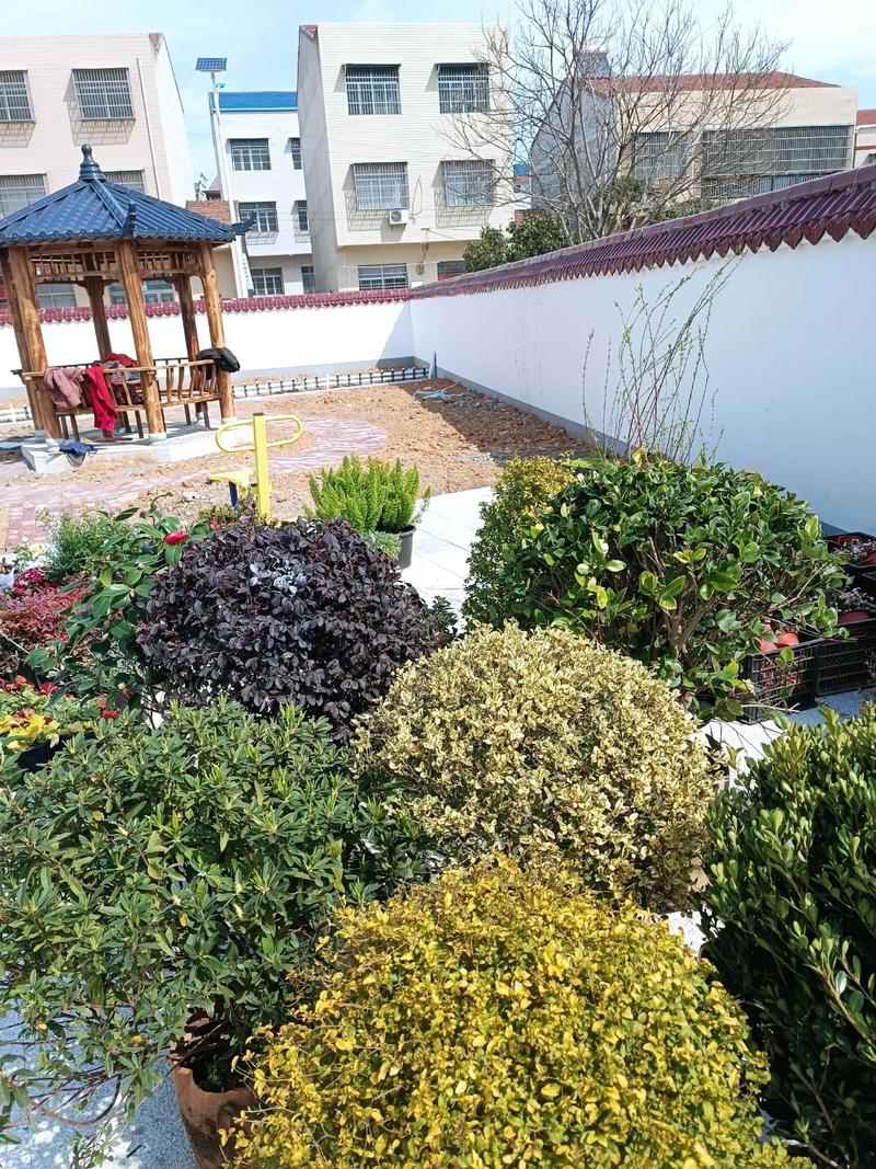 單位綠化施工現(xiàn)場(chǎng)紀(jì)實(shí) 園林景觀中的假山營(yíng)造藝術(shù)